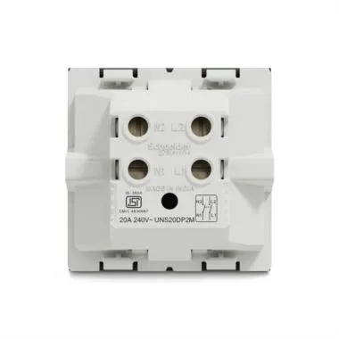 20A DP Switch With Indicator grey